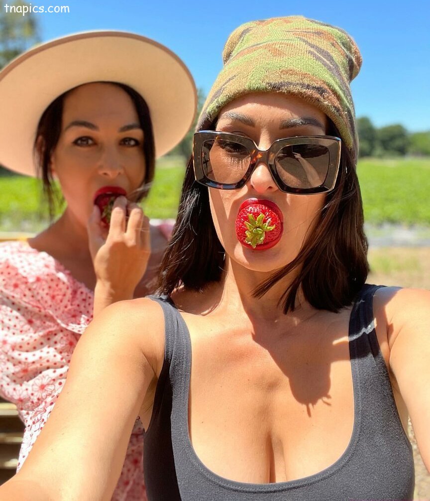 Bella Twins nude 59